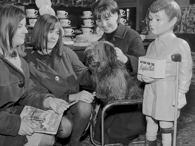 'Bobby the dog, as featured in the Disney film 'Greyfriars Bobby', is pictured with children at the Christmas Gift Shop on Home Street, Tollcross, in December 1965.
