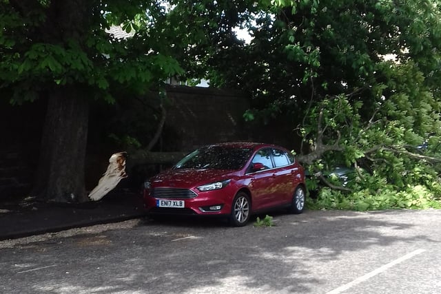 The tree appeared to miss a claret-coloured Ford hatchback.