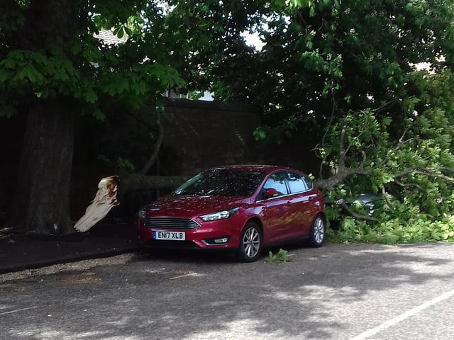 The tree appeared to miss a claret-coloured Ford hatchback.