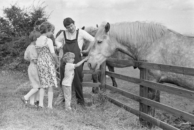 Four year old Eric Maddison is brave enough to stroke one of the horses as Ronnie Brown, Vaux drayman, keeps a watchful eye in August 1979.