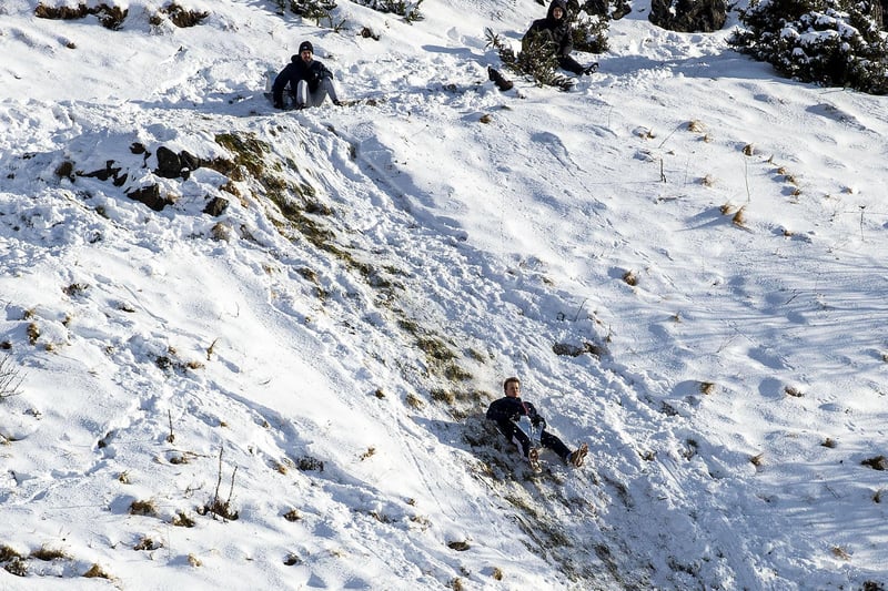 This pair appear to have carved out a very well-worn path in the snow for their sledging.
