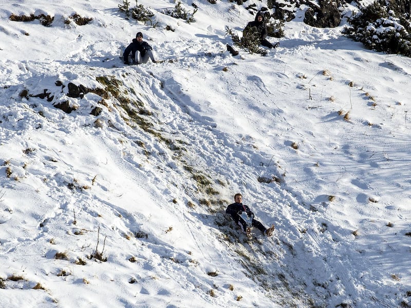 This pair appear to have carved out a very well-worn path in the snow for their sledging.