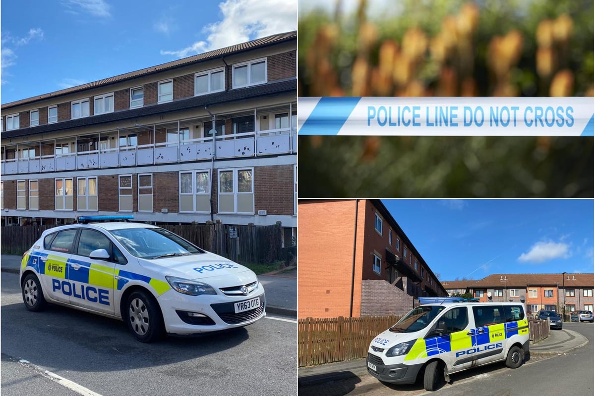 Police appeal for information over child abduction case in Sheffield ...