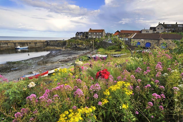 Nestled under the impressive and dramatic Dunstanburgh Castle, Craster is a small and picturesque harbour village. You will find a small beach here at the harbour where hours can be spent watching the boats, marine life and sea birds that float in and out. The road running through the village passes right by the original kipper smokehouse buildings with their cheery orange roofs, one of which is now a popular pub.