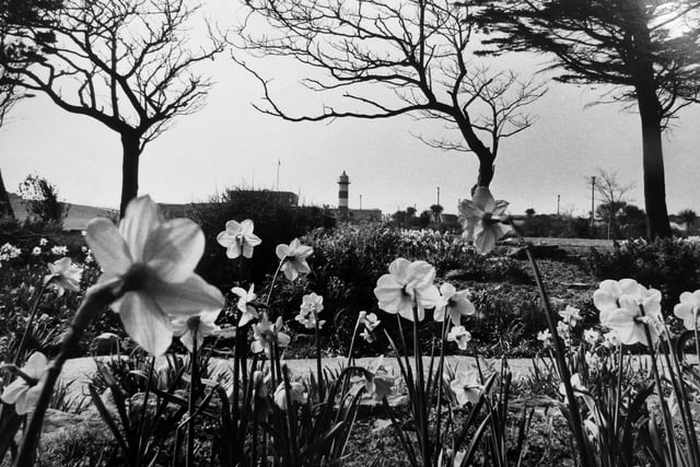 Southsea Castle and surrounding flowers in April 1974