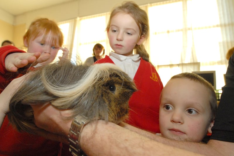 The Discovery Zoo had these pupils enthralled at Harton Infants School in 2010.