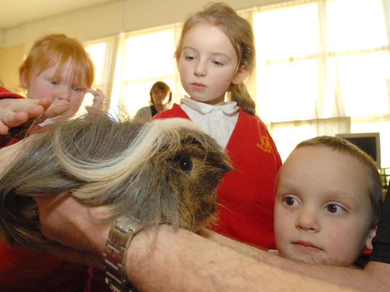 The Discovery Zoo had these pupils enthralled at Harton Infants School in 2010.