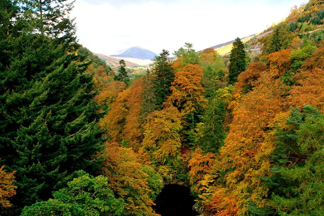 A 12-mile walk to Pitlochry and back will take you on an autumn spectacular through the Pass of Killiecrankie, the Linn of Tummel  and the banks of Loch Faskally with the Cairngorms also coming into view. PIC: Visit Scotland.