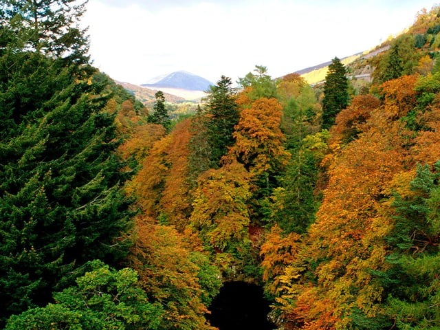 A 12-mile walk to Pitlochry and back will take you on an autumn spectacular through the Pass of Killiecrankie, the Linn of Tummel and the banks of Loch Faskally with the Cairngorms also coming into view. PIC: Visit Scotland.