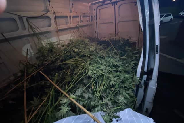 Cannabis worth £200,000 and believed to have been stolen was recovered from a Ford Transit van stopped by police in Wadsley Bridge, Sheffield