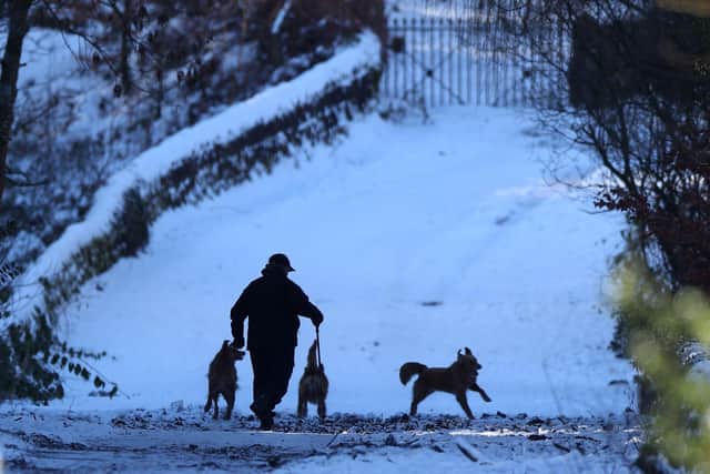A person walks dogs on a frozen path next to the Rivelin Lower Reservoir in Sheffield, as the cold snap continues to grip much of the region. Picure: Peter ByrnePA Wire