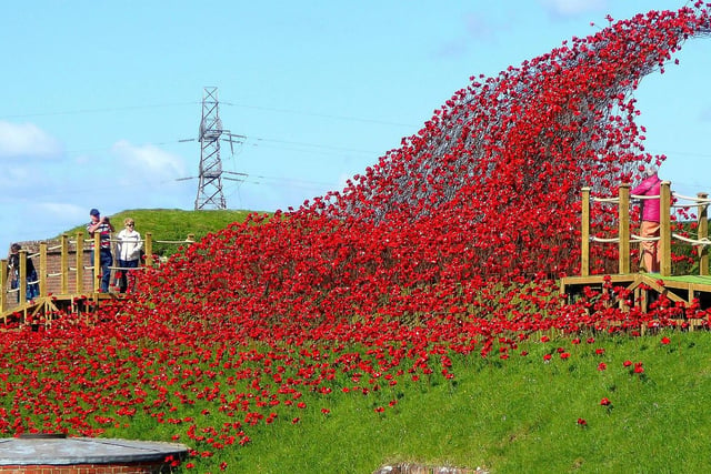 Remembrance poppies at Fort Nelson 2019.
The iconic poppy sculpture Wave by artist Paul Cummins and designer Tom Piper at Fort Nelson in Portsmouth back in 2019 taken by Edwin Amey