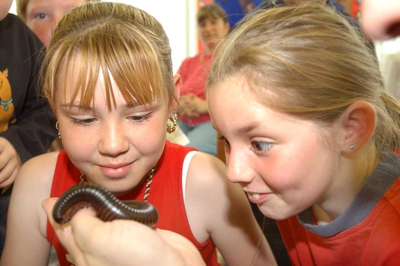 The day that Zoolab came to the library. These children got a chance to get to know some creepy crawlies. Remember this?