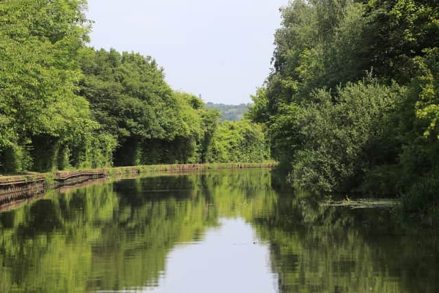 Sheffield & Tinsley Canal for a feature on Heritage Cruises with A & G Passenger Boats. Picture: Chris Etchells