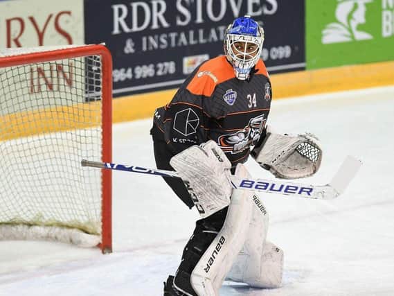 Curtis Warburton in Sheffield Steelers' goal - the teenage netminder is highly rated