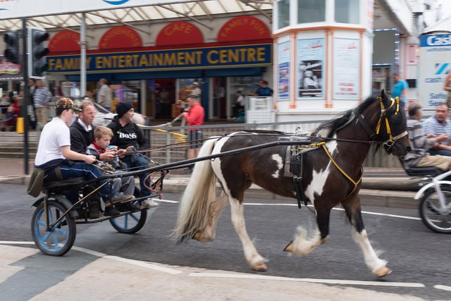 Horse and trap owners descended upon Southsea to ride along the seafront