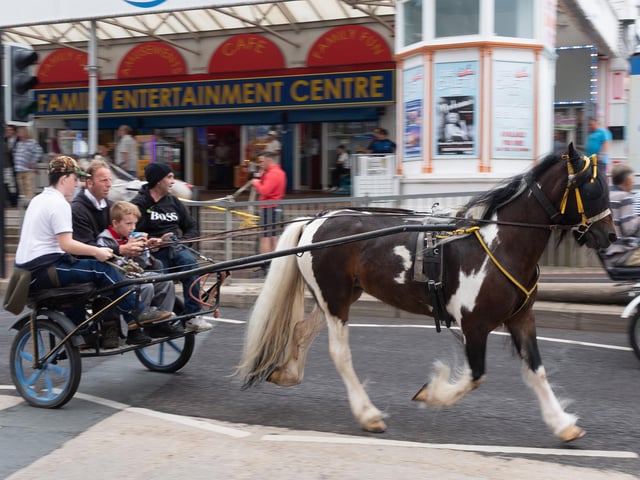 Horse and trap owners descended upon Southsea to ride along the seafront