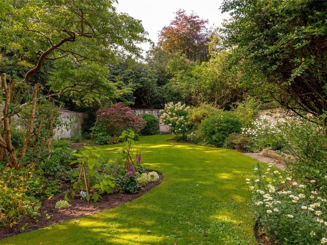 Garden.