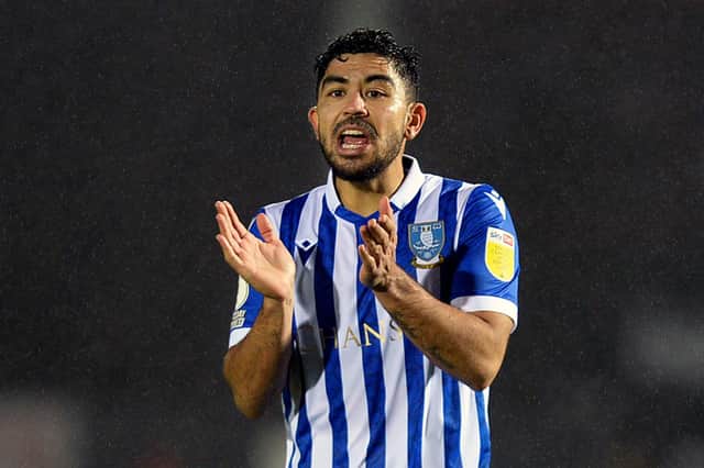Sheffield Wednesday midfield man Massimo Luongo is out of contract at the end of the season.