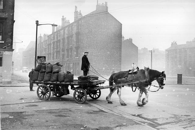 1960:  A coalman doing his rounds in his horse-drawn cart in the Gorbals.