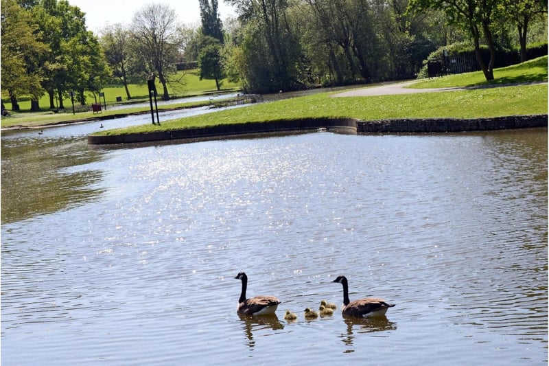 People love green spaces, such as tranquil Sandall Park.
