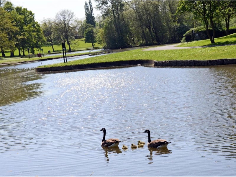 People love green spaces, such as tranquil Sandall Park.