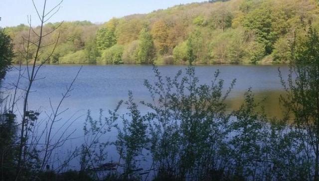 There are 3 reservoirs at Linacre, built between 1855 and 1904 and, between them, they hold more than 240 million gallons of water. The reservoirs are surrounded by fields and bluebell woods.