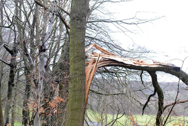 The storms have caused widespread damage.