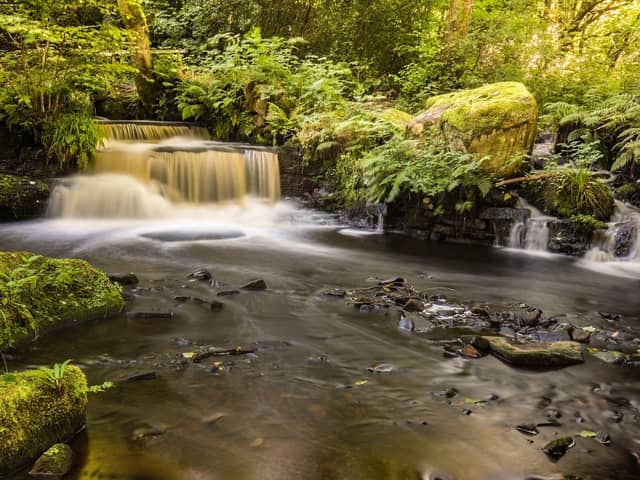 This waterfall in the picturesque Rivelin Valley is surely one of the city's most photogenic spots