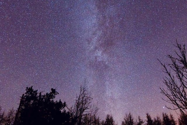 The woodland was named a Dark Sky Discovery site given its "very clear views" of the Milky Way galaxy. The designation was given following a campaign by scientist, astronomer and mathematician Stephen Mackintosh.