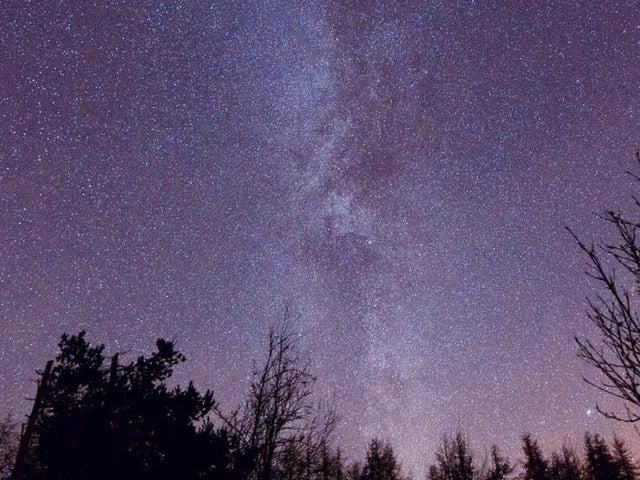 The woodland was named a Dark Sky Discovery site given its "very clear views" of the Milky Way galaxy. The designation was given following a campaign by scientist, astronomer and mathematician Stephen Mackintosh.