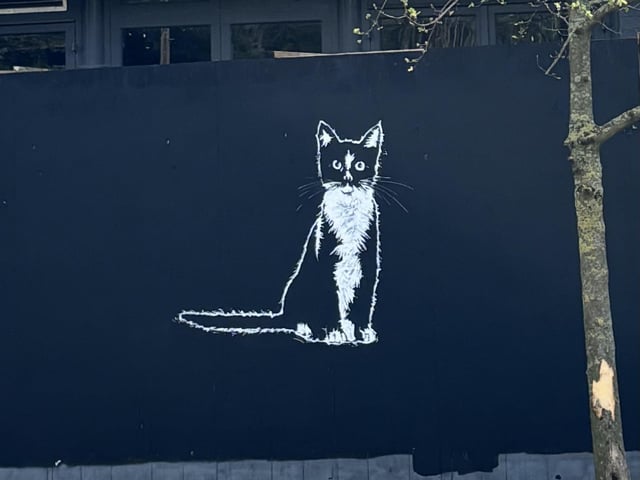 Cat on fence by Rebekah Matthews
