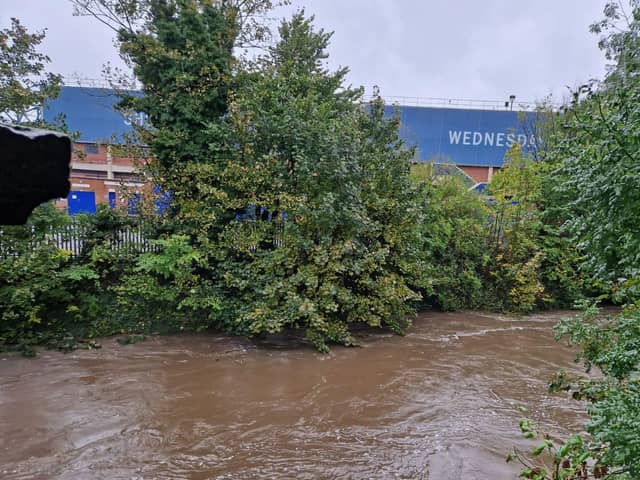 High water levels in the River Loxley near Hillsborough today. Picture: Kirsty Hamilton