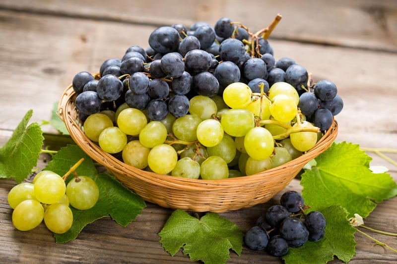 The active ingredient which causes the toxin is unknown however, both grapes and raisins may cause severe liver damage and kidney failure Dogs that already have underlying health problems are at greatest risk and just one raisin can be severely toxic. Experts agree that there is no “safe” dose of grapes and raisins.
