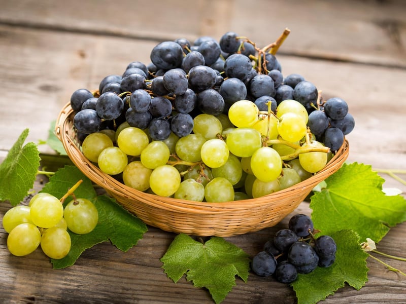 The active ingredient which causes the toxin is unknown however, both grapes and raisins may cause severe liver damage and kidney failure Dogs that already have underlying health problems are at greatest risk and just one raisin can be severely toxic. Experts agree that there is no “safe” dose of grapes and raisins.