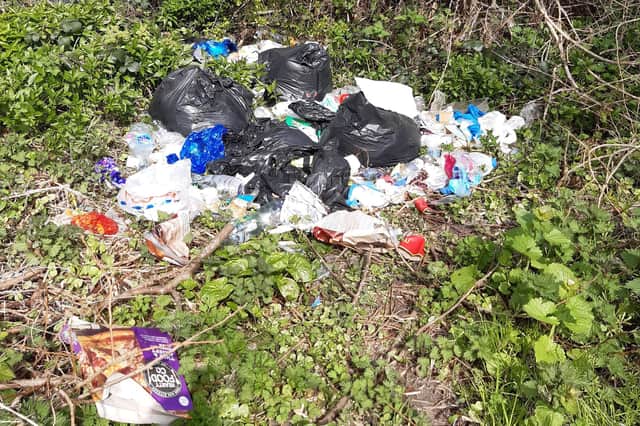 Irene spotted a host of bin bags full of rubbish on her walk through Beeley Woods.