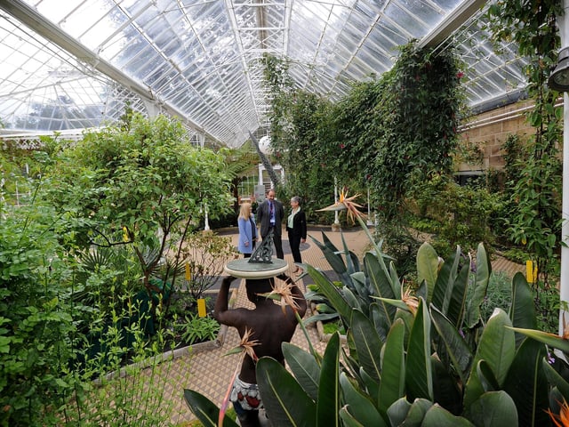 A spokesman for the National Trust said: "Dig out a hardy plant with leaves, keeping as much of the original root ball attached. Use two garden forks, back-to-back, to prize the roots apart".