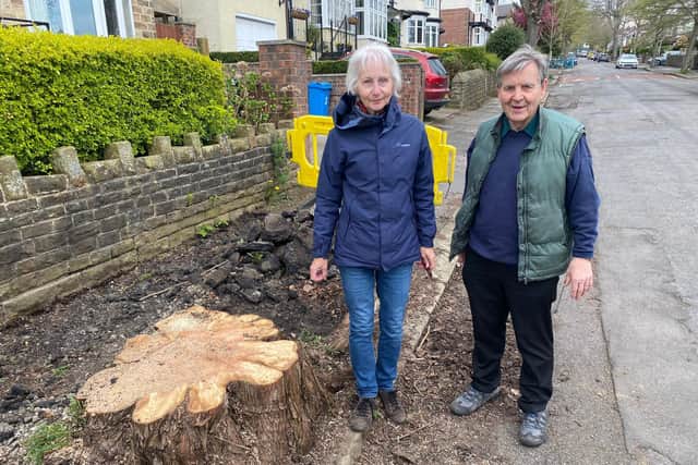 Councillors Barbara Masters and Roger Davison with a cut down tree on Dunkeld Road.