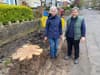 Trees cut down on Dunkeld Road in Sheffield after six-year wait for resurfacing