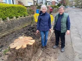 Councillors Barbara Masters and Roger Davison with a cut down tree on Dunkeld Road.