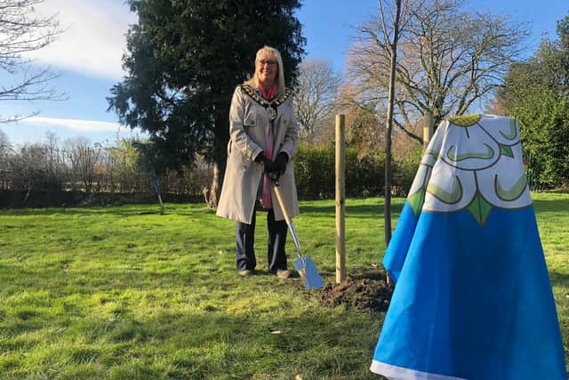 The Mayor of Barnsley has planted the borough’s first tree to mark the Queen’s Platinum Jubliee this year.