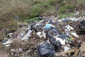 Fly-tipping in Gleadless Valley.
