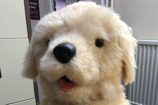 Robotic therapy dog Sandy is bringing comfort and joy to residents at a Sheffield care home