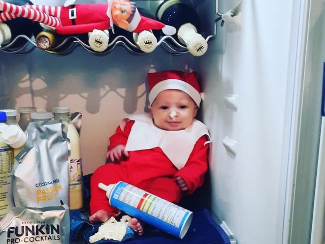 Bubbles managed to make her way into her parents' fridge for December 12 shenanigans