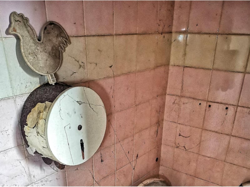 Inside the ladies' toilets.