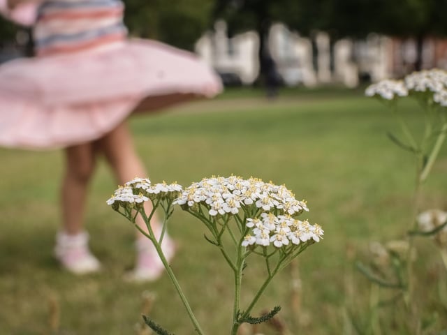 The winning green city picture by Luiza Khisamutdinova