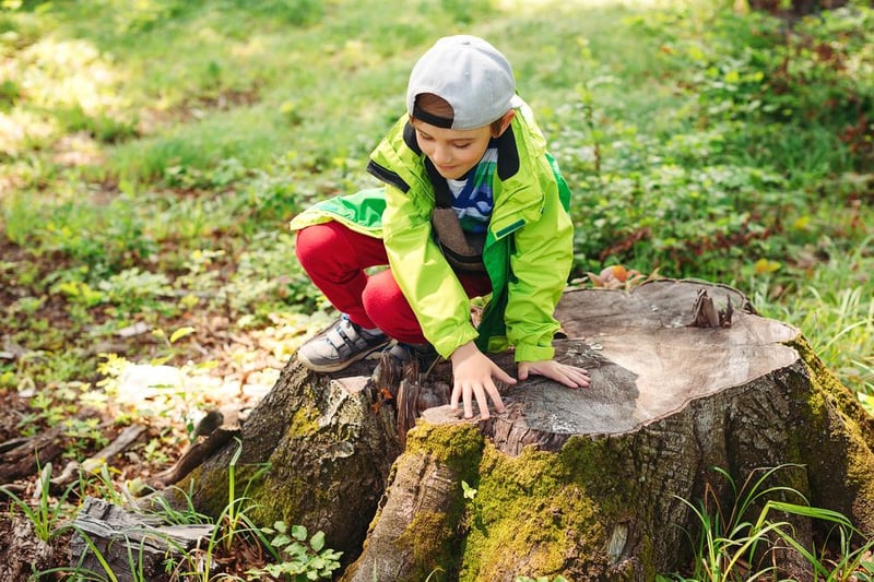Xplorer Challenge is a family friendly navigation quest which is both educational and fun. The session in Staveley is on June 1, register between 2pm and 3.30pm in the pavilion. The session in Chesterfield  is on June 2, with registration at the Queen's Park conservatory between 10am and 11.30am.