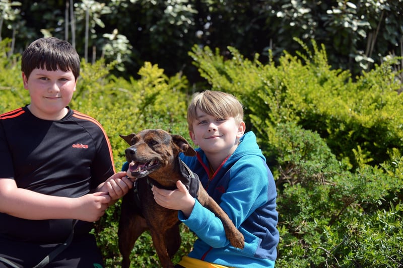 Harry Brennan, 11 and Noah Vose, 9 with Poppy the dog.