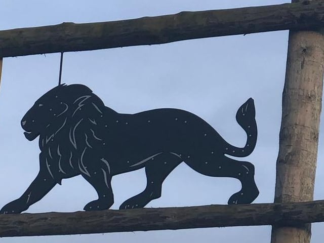 Clue: Home to big cats and polar bears.