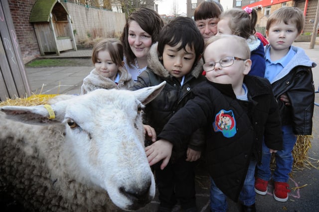 Youngsters at Millfield Community Nursery School had the opportunity to meet 'Molly' the sheep as part of the nursery marking the Chinese New Year in 2015.